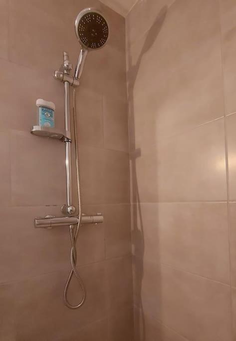 Zenith - Cartoucherie Apartment Toulouse Bagian luar foto