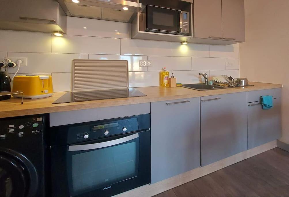 Zenith - Cartoucherie Apartment Toulouse Bagian luar foto