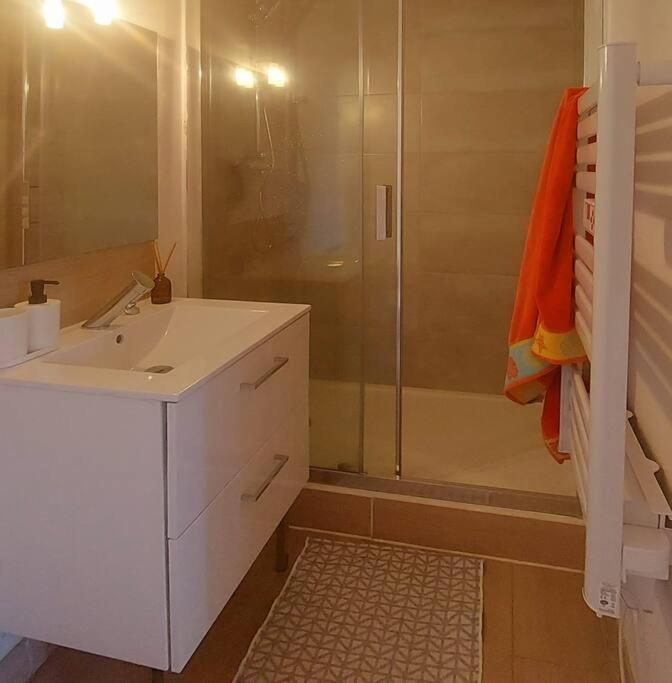 Zenith - Cartoucherie Apartment Toulouse Bagian luar foto